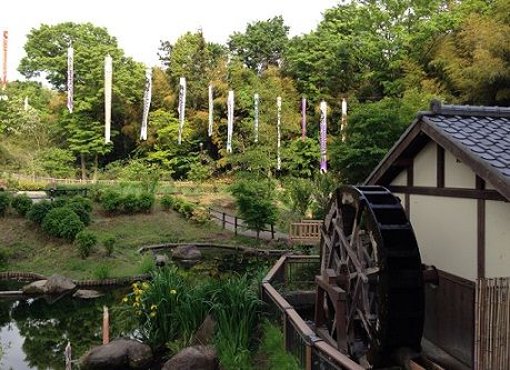 carp_windmill