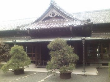 hinohonjin2