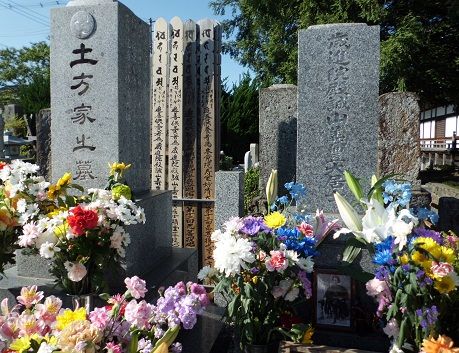 hijikatahaka