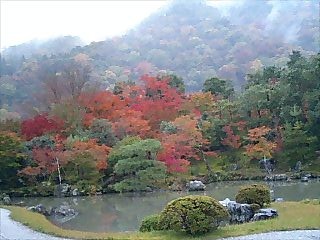 061120_TenryujiAutumn1
