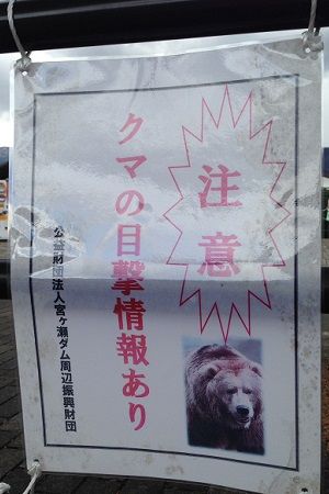 kuma