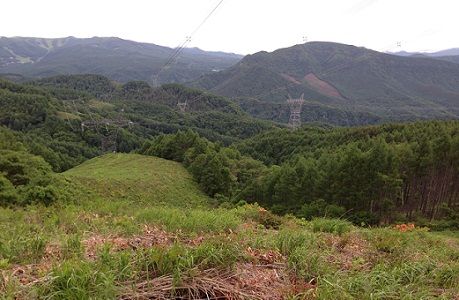 utsukushi