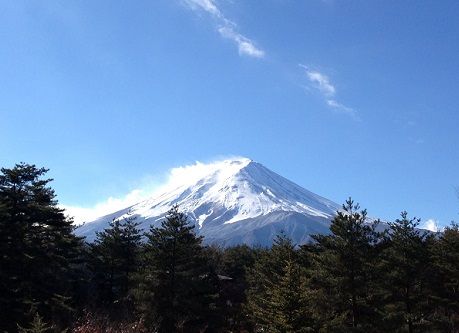 fujivisitorcentre