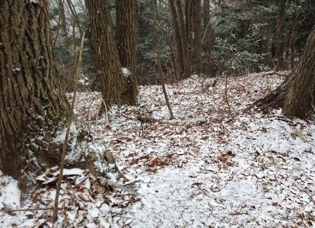 snow2