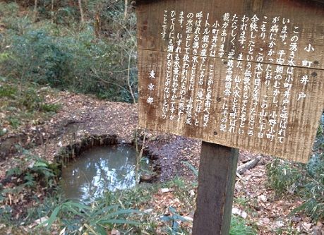 onojijo7