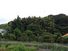 9kinunomichi