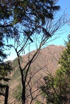 nabewari2