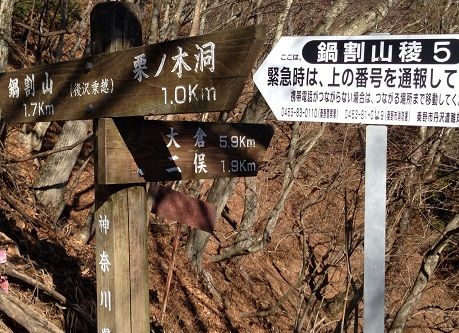 ushirozawanokkoshi