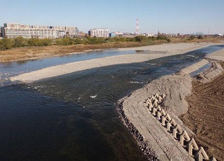 tamagawa