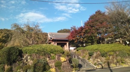 iwagosan
