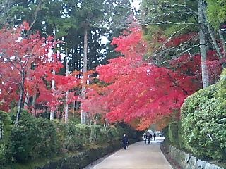 061119_Koyasan