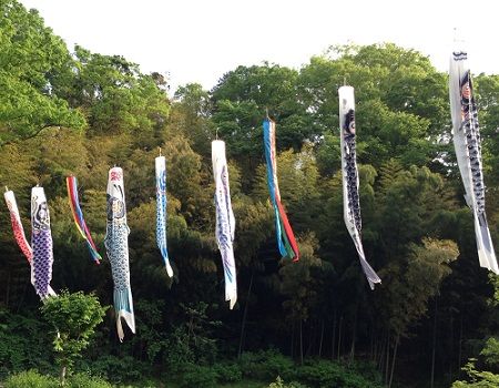 koinobori