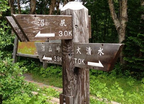 to_oshimizu1