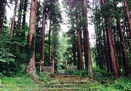 6matsudairabosho