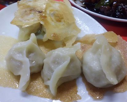 gyoza