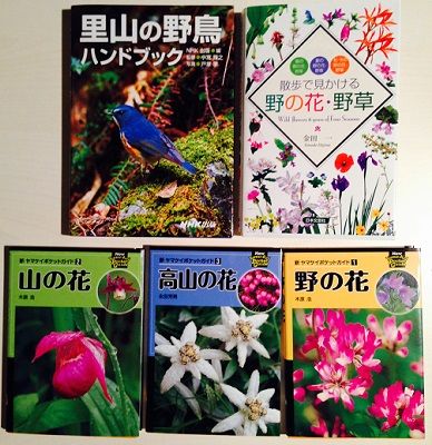 flowersbirds