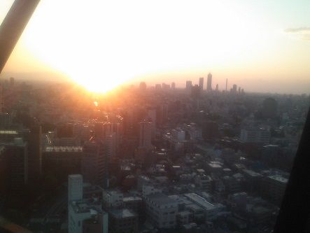 bunkyoccsunset
