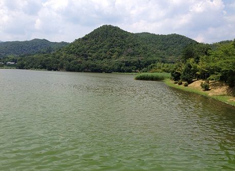 7hirosawa