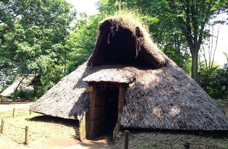 tateana