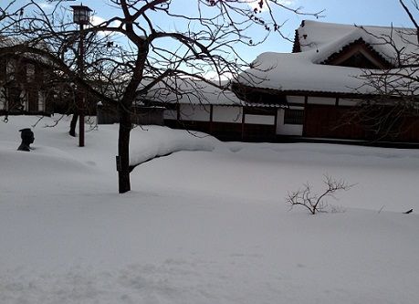 aizuhanko7