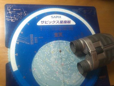 seizabino