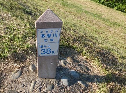 tama38k