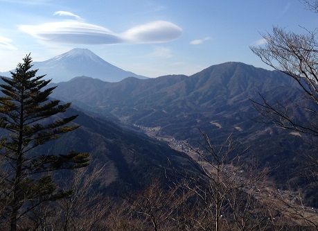 fujimishotai_tonno1s