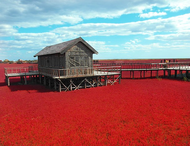 red2-610x467