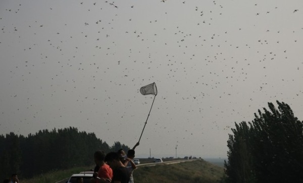 20170912-035108934