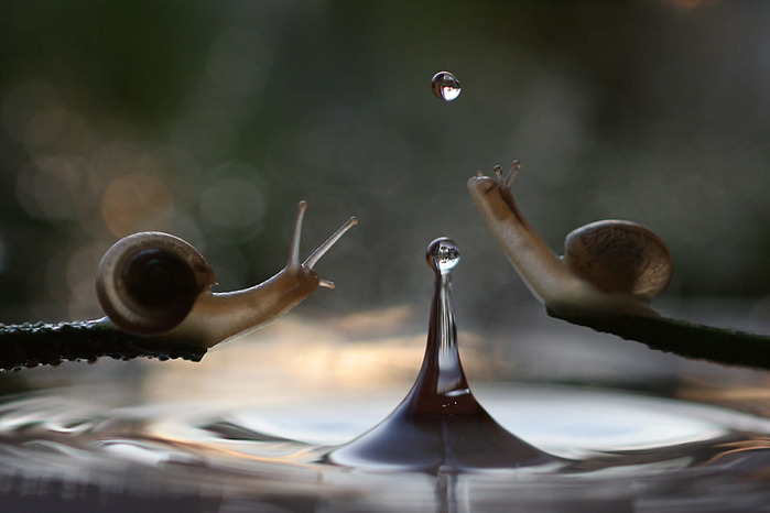 macro14