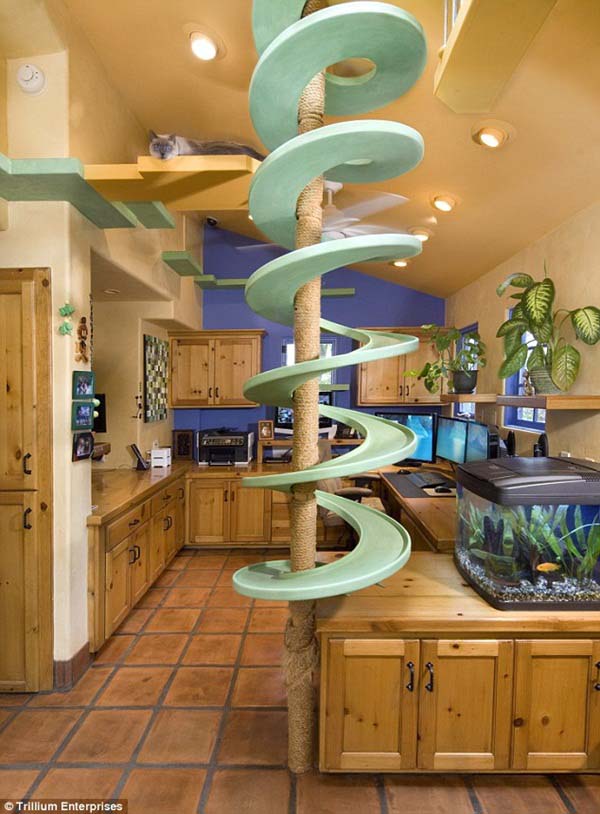 home-for-animal-lovers01
