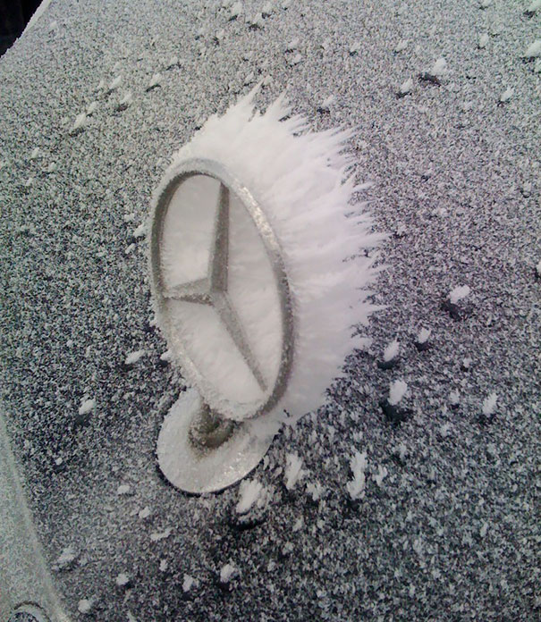 frozen6
