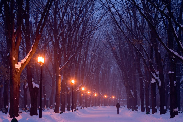 avenue20