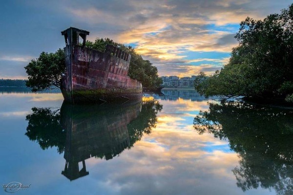 ship24