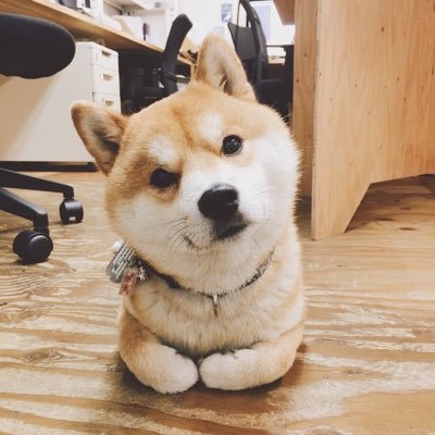 イッヌ