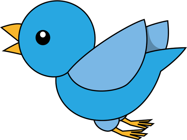 bird_a19