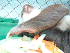 http://livedoor.blogimg.jp/scienceplus2ch/imgs/4/e/4e5c3b0c.gif