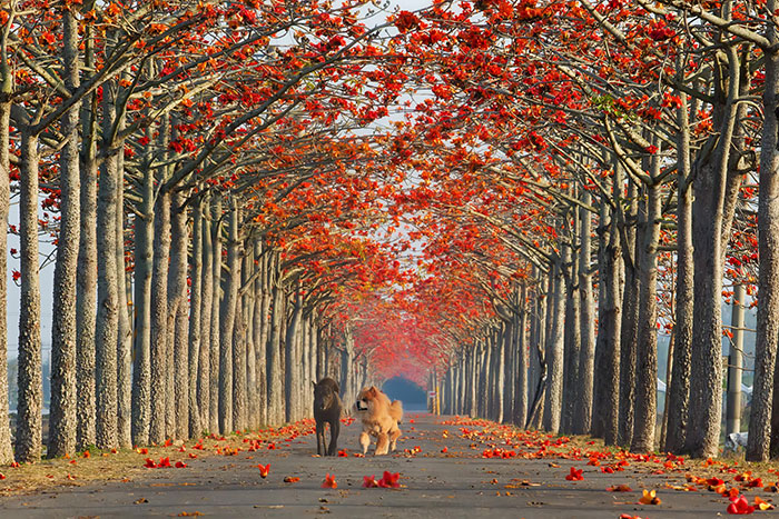 avenue7