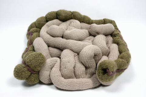 intestines-1