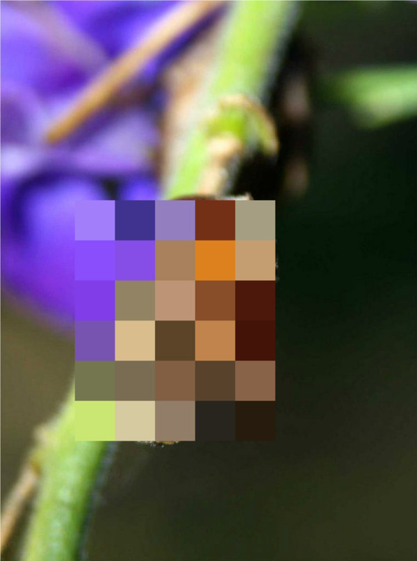 BlogPaint