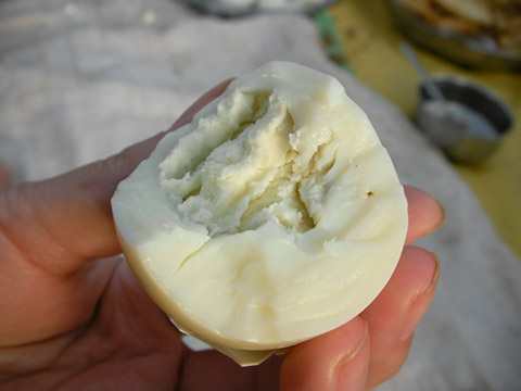 sany0991