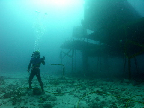 NEEMO