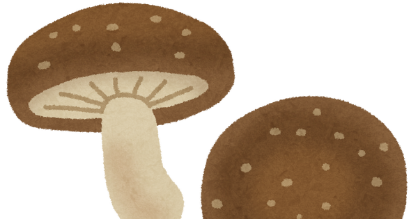 kinoko_shiitake