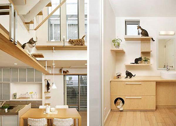 home-for-animal-lovers03