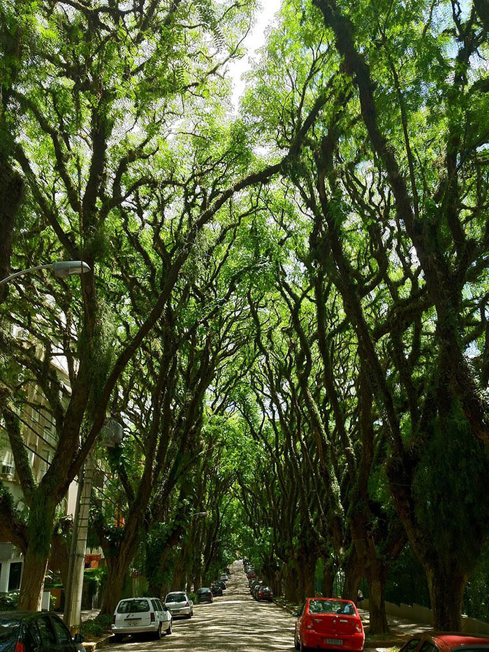 avenue9