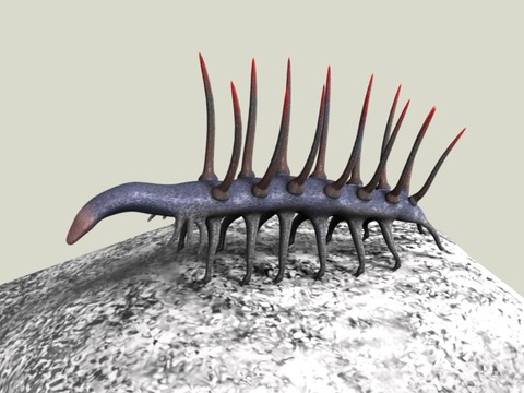 hallucigenia
