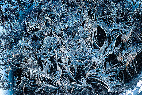 frozen10