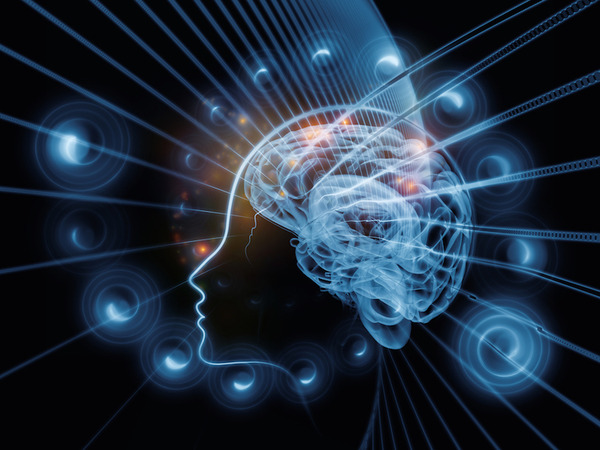 brain