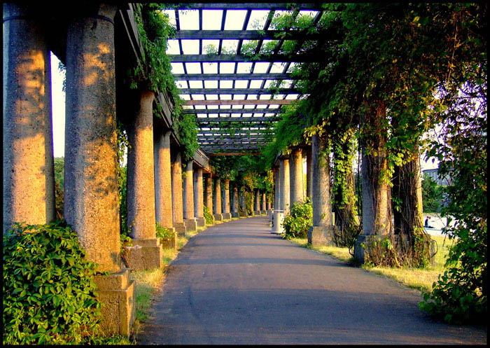 avenue18