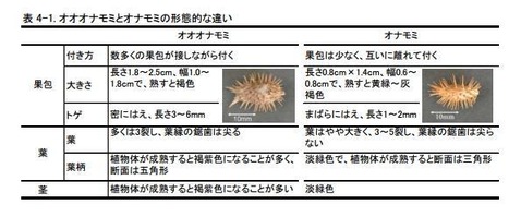 95fb88ee-ml